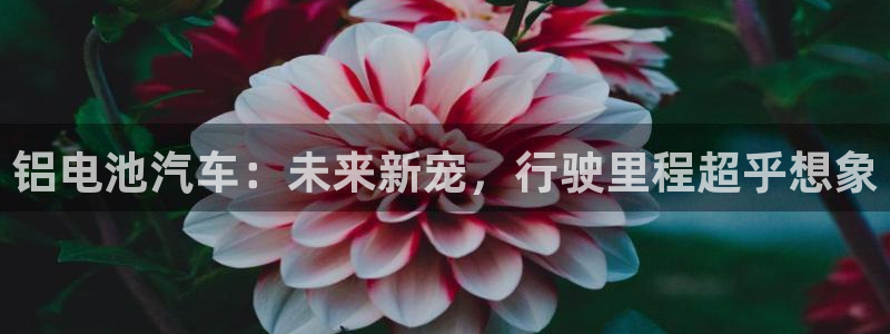 优发国际官网值是多少