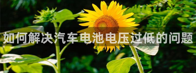 优发国际手机版官网入口