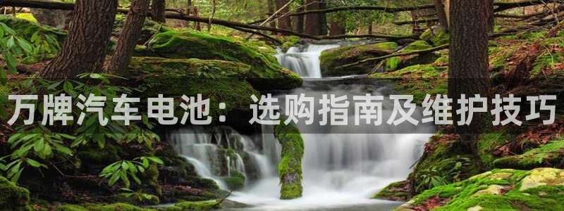 优发国际youfa