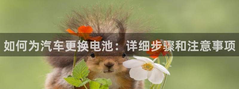 优发国际提现不了