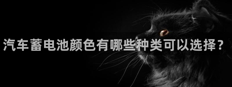 优发国际游戏17岁能玩吗