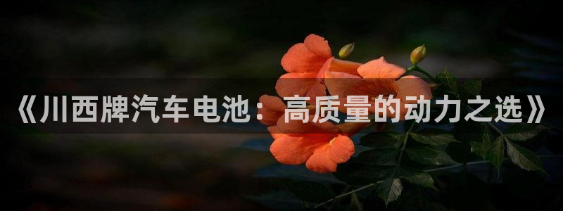 优发国际官方网手机版app