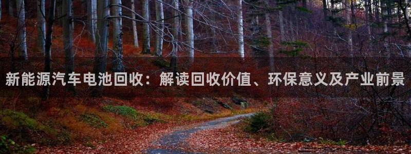 优发国际这个平台怎么样