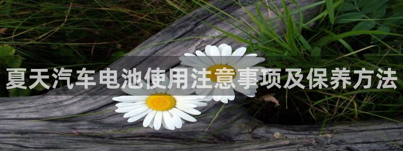 优发国际的官网是