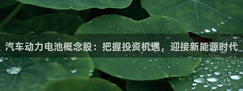 优发国际官网下载安装：汽车动力电池概念股：把握投资机遇，迎接新能源时代