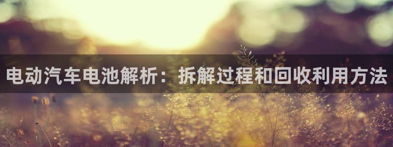 优发国际平台手机版下载官网