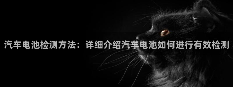 优发国际不出款了吗：汽车电池检测方法：详细介绍汽车电池如何进行有效检测