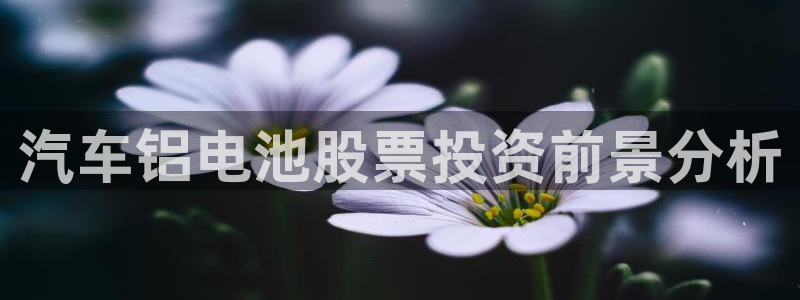 优发国际集团股份有限公司官网