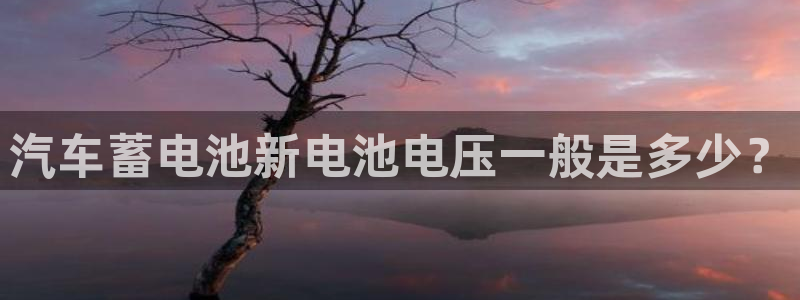 优发国际是不是黑网：汽车蓄电池新电池电压一般是多少？