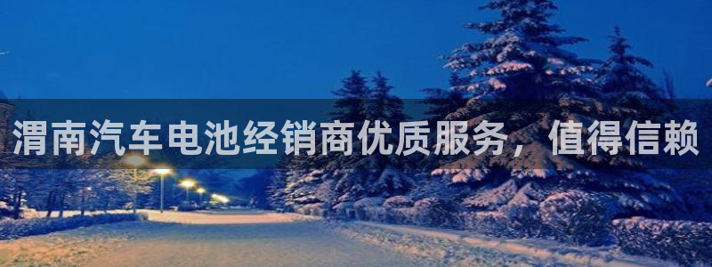 优发国际官网,首页：渭南汽车电池经销商优质服务，值得信赖