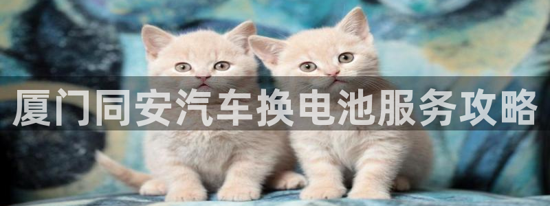 优发国际这个平台怎么样