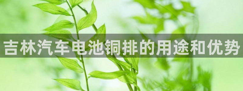 优发游戏官网