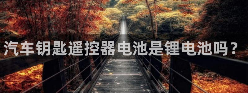 优发国际平台g80