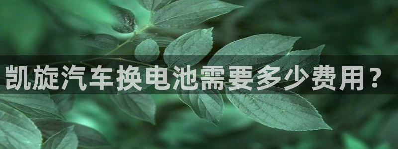 优发国际 干什么的