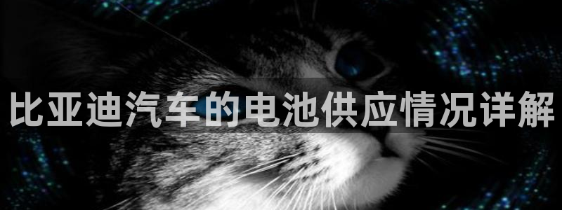 优发国际平台app下载官网