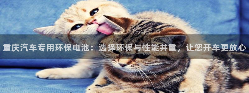 优发国际官方网平台