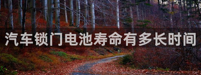 优发国际官方网手机版入口