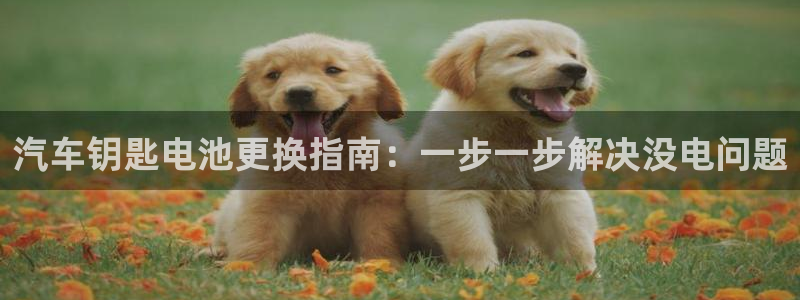 优发国际平台app下载安装
