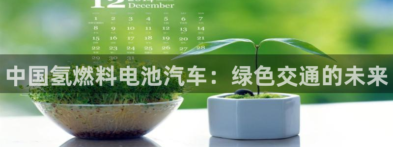 优发国际的官网是