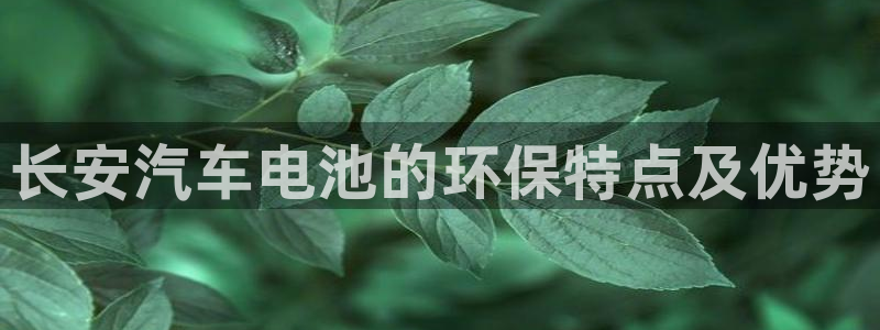 优发国际软件下载官网