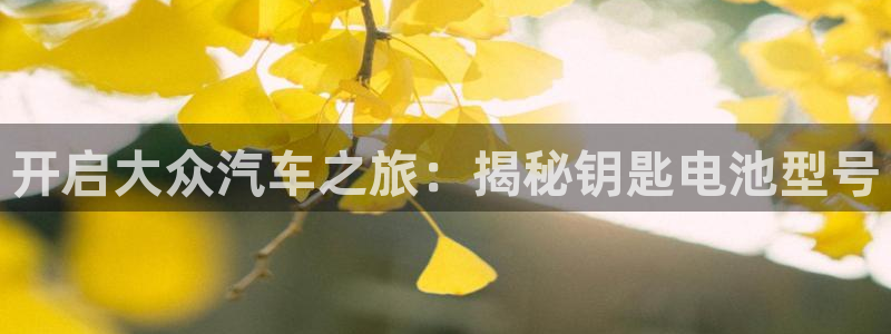 优发国际网站