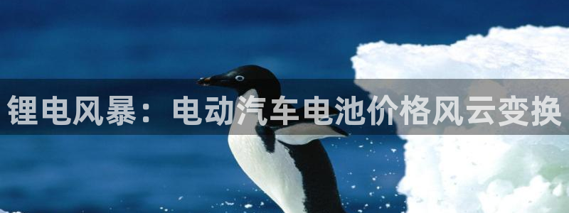 优发国际youfa966