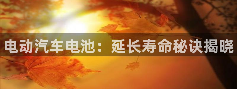 优发国际提现不了