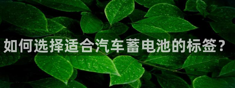 优发国际这个平台怎么样