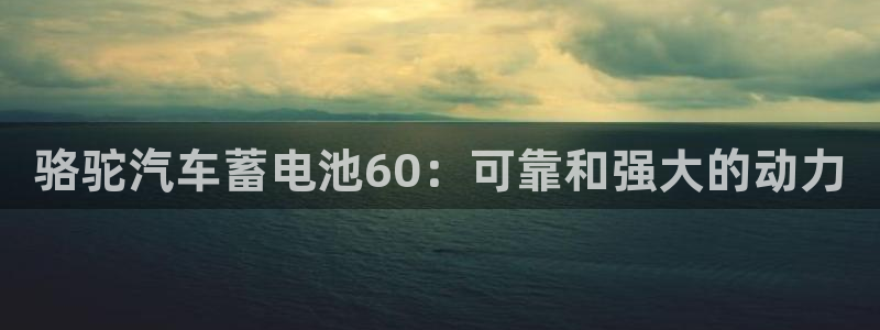 优发国际官网是多少号码