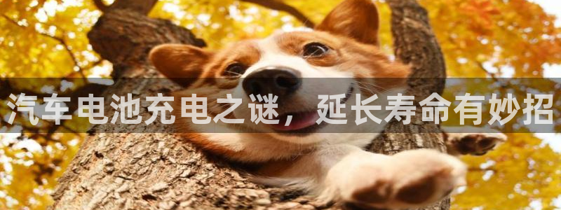 优发国际手机版官网入口