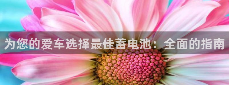 优发国际VIP网址