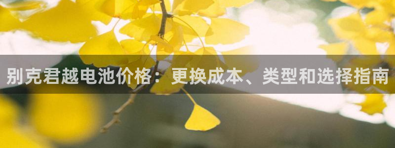 优发国际平台g80