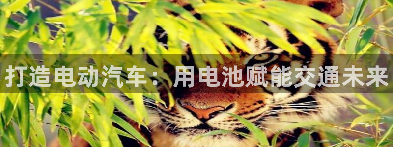 优发国际平台app下载苹果版
