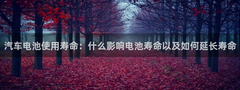 优发国际手机版唯一官网下载