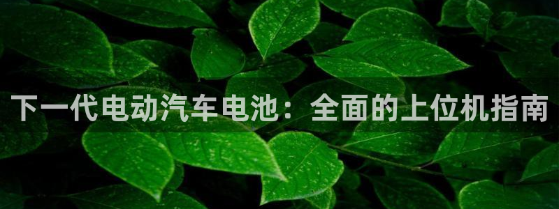 优发国际手机版客户端