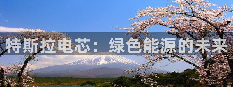 优发国际提现不了