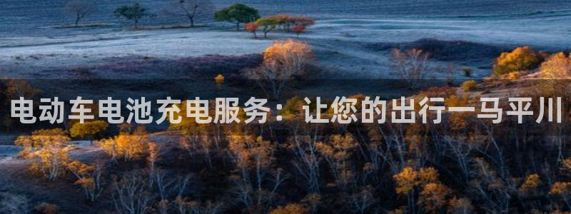 优发国际合并到哪里了啊