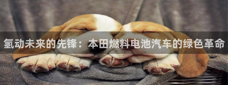 优发国际官方网手机版app
