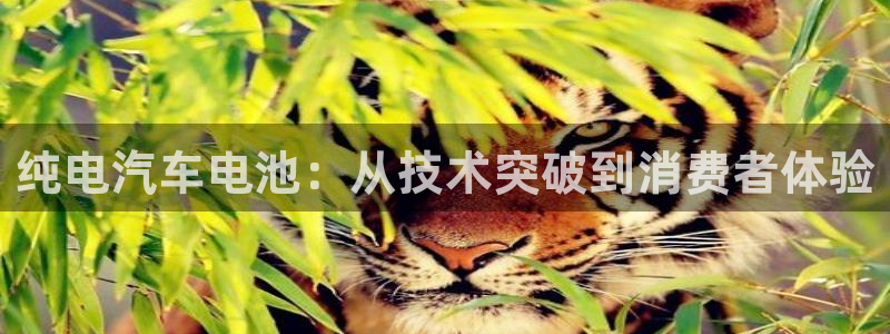 优发国际手机客户端下载安装手机版