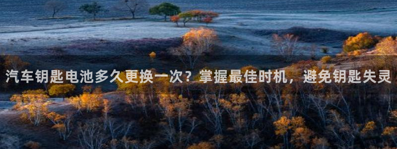 优发国际平台网站