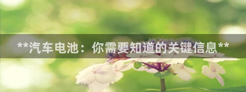 优发国际娱乐官网多少?