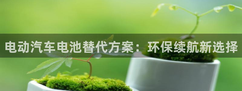 优发国际随优而动一触即发