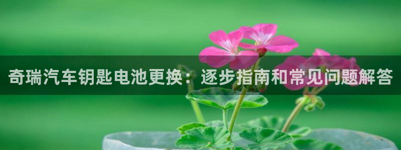 优发国际手机版唯一官网是什么