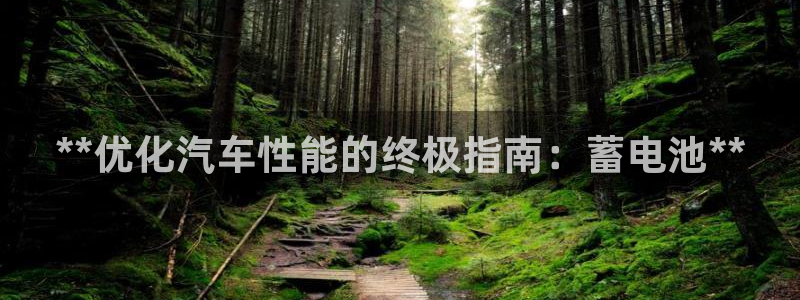 优发国际手机版网站