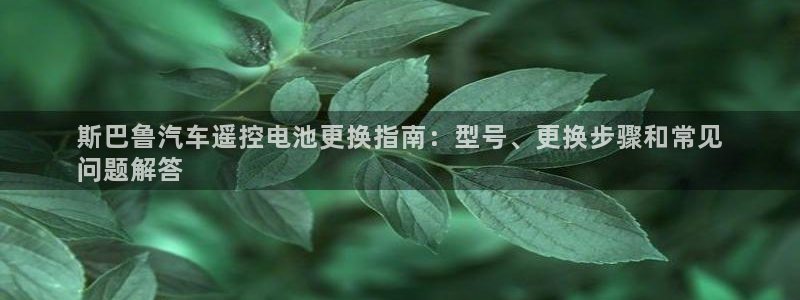 优发国际随优而动一触即发