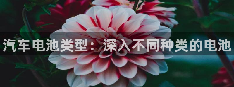 优发国际手机客户端官网首页