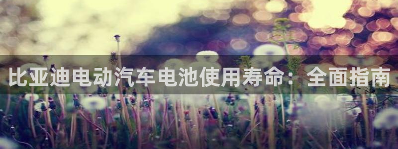 优发娱乐官网地址