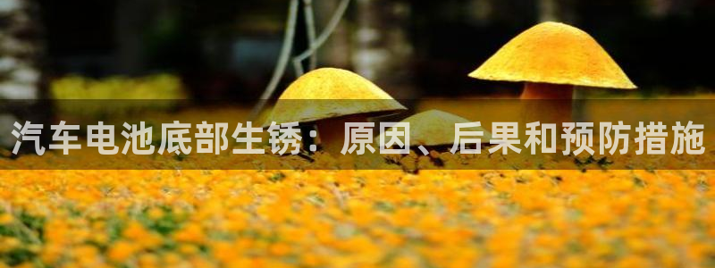 优发娱乐国际线上营业时间