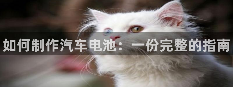 优发国际安卓版下载安装苹果