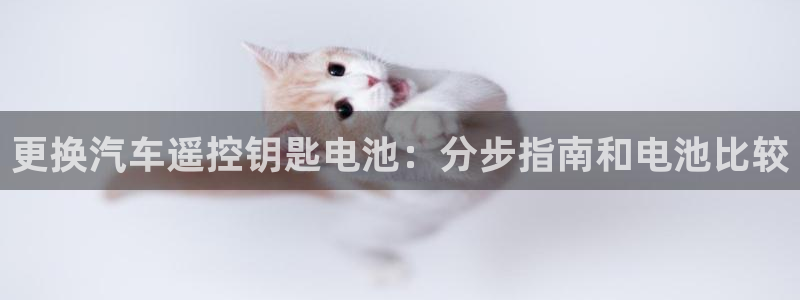 优发国际的官网是什么